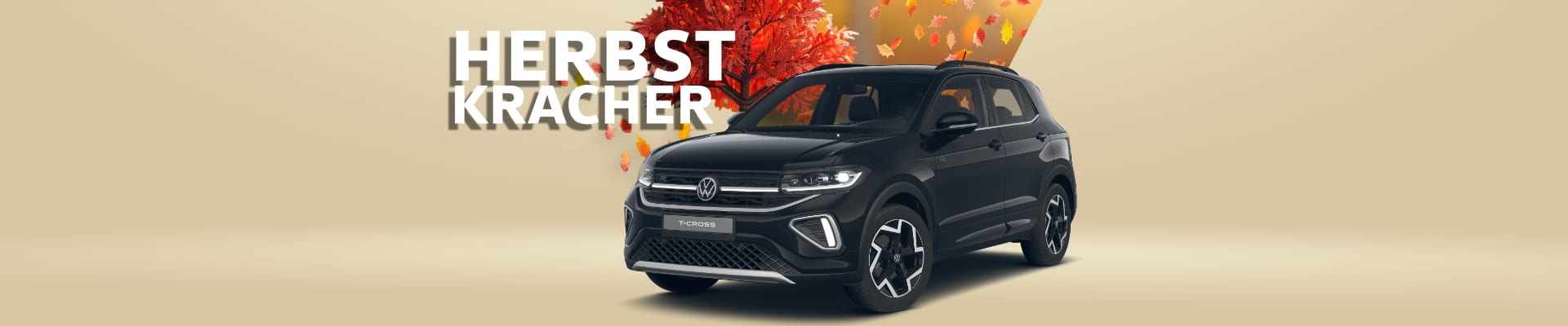 Angebot T-Cross R-Line