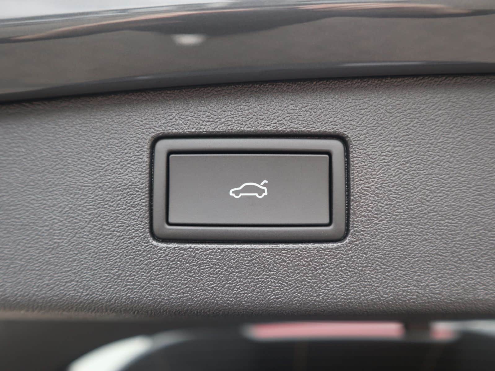 Tiguan R-Line Delfingrau Metallic 21 21