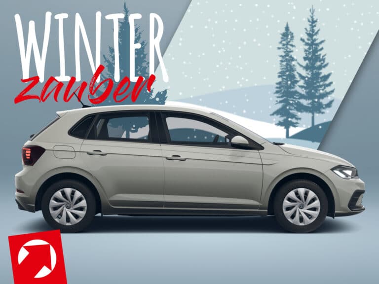 Polo Life ascot 4 Winterzauber_Leasingmarkt-Polo life ascot 80PS-5