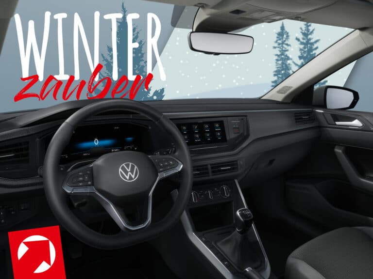 Polo Life ascot 5 Winterzauber_Leasingmarkt-Polo life ascot 80PS-6