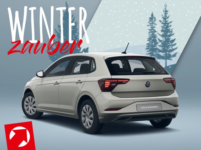 Polo Life ascot 8 Winterzauber_Leasingmarkt-Polo life ascot 80PS-9