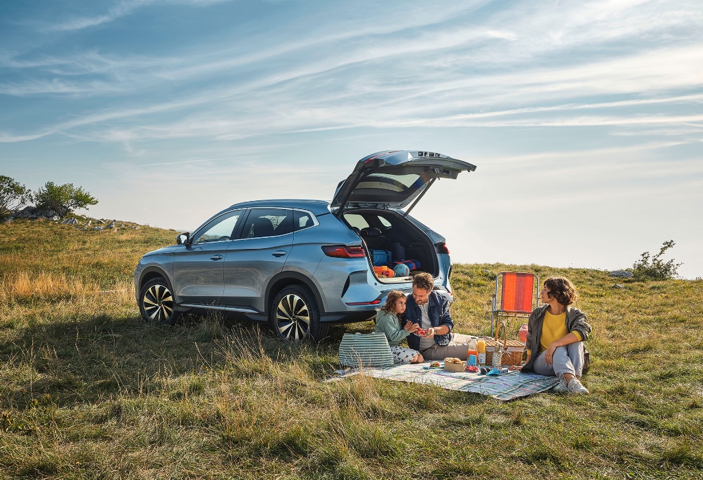 Bilder Website picknick