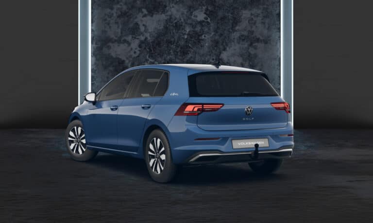 golf-goal-anemonenblau-4