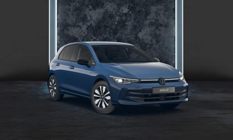 golf-goal-anemonenblau-8