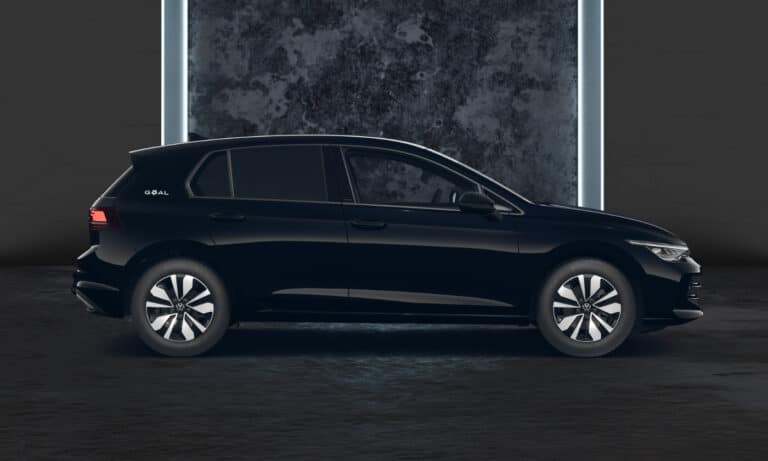 golf-goal-grenadillschwarz-7