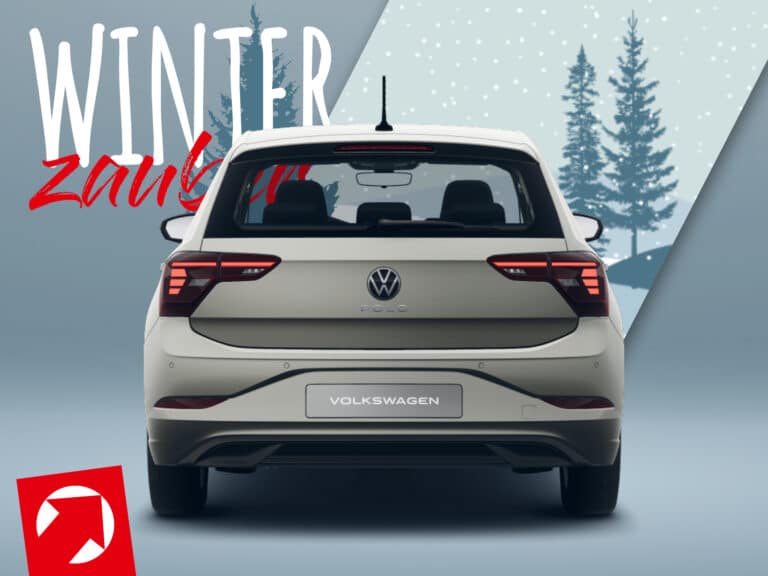 Winterzauber_Leasingmarkt-PoloLife80PS-8