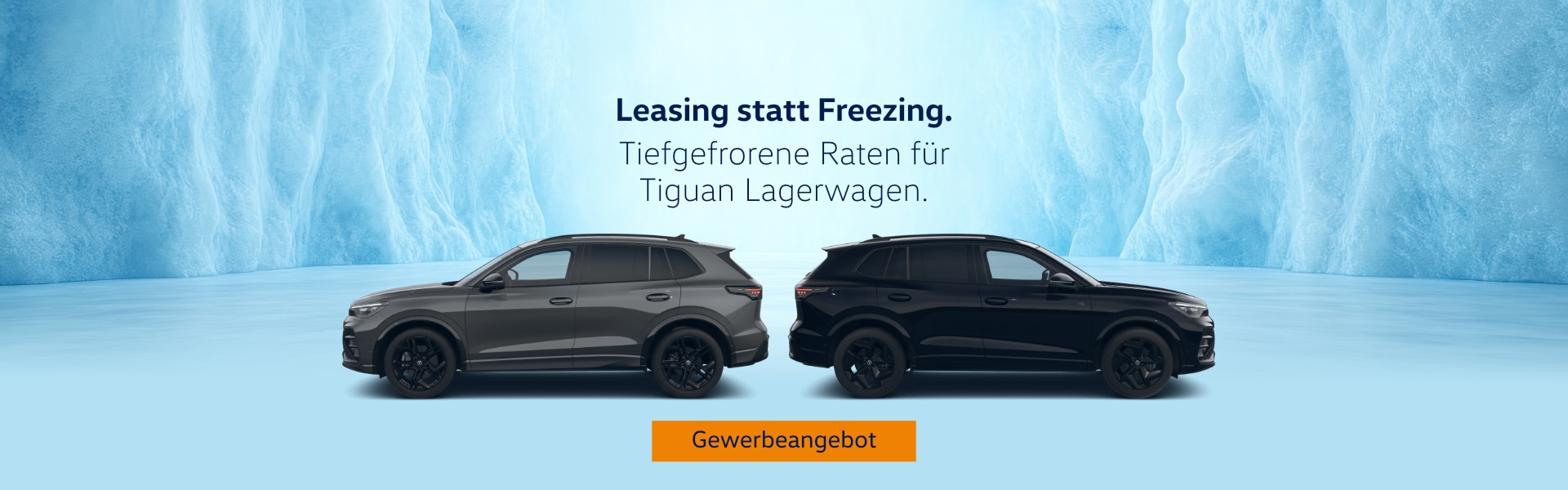Aktion Leasing statt Freezing