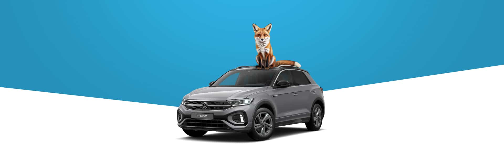 Aktion Sparfüchse leasen hier