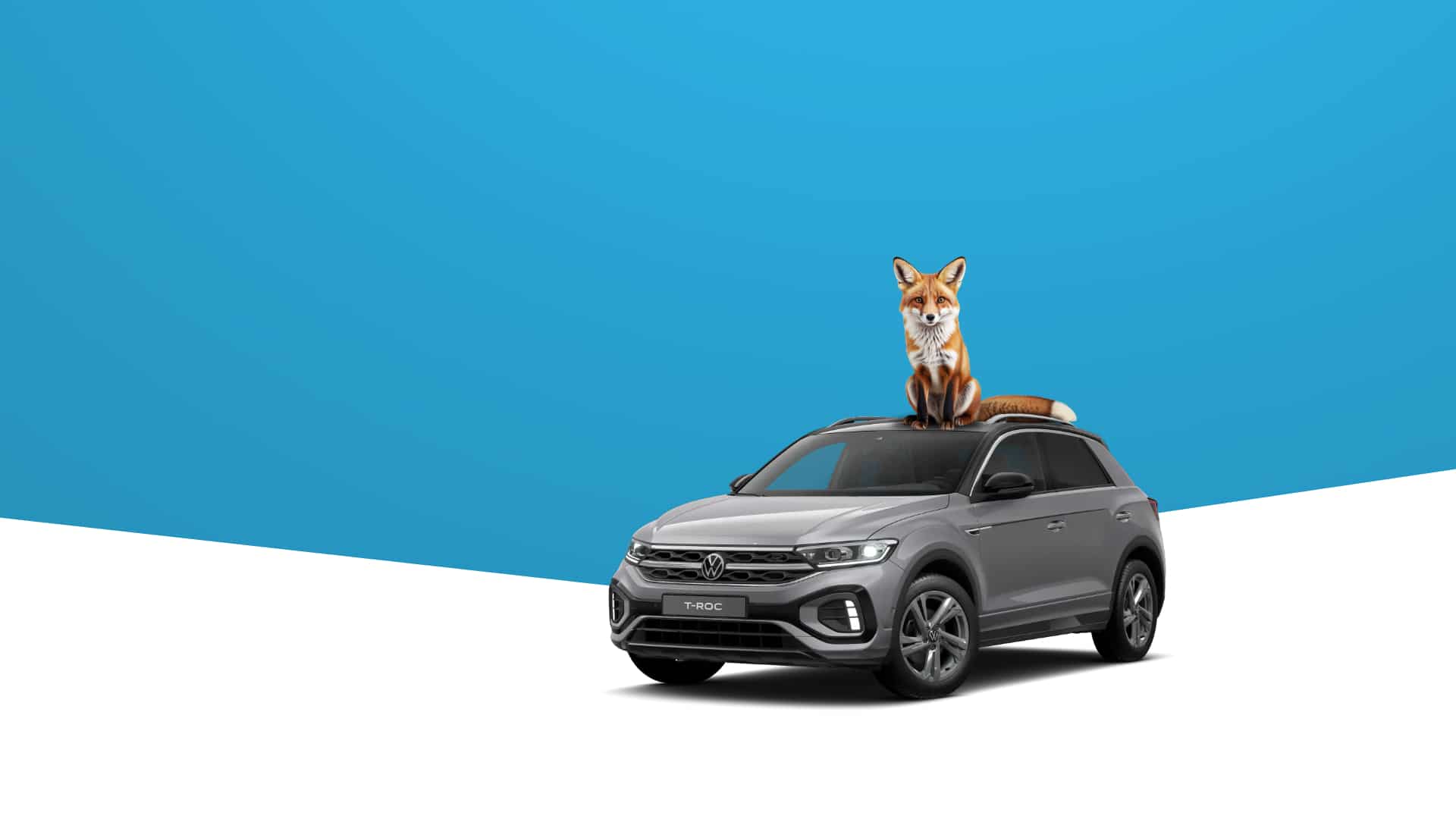 Sparfuchs T Roc 26 Slider 1