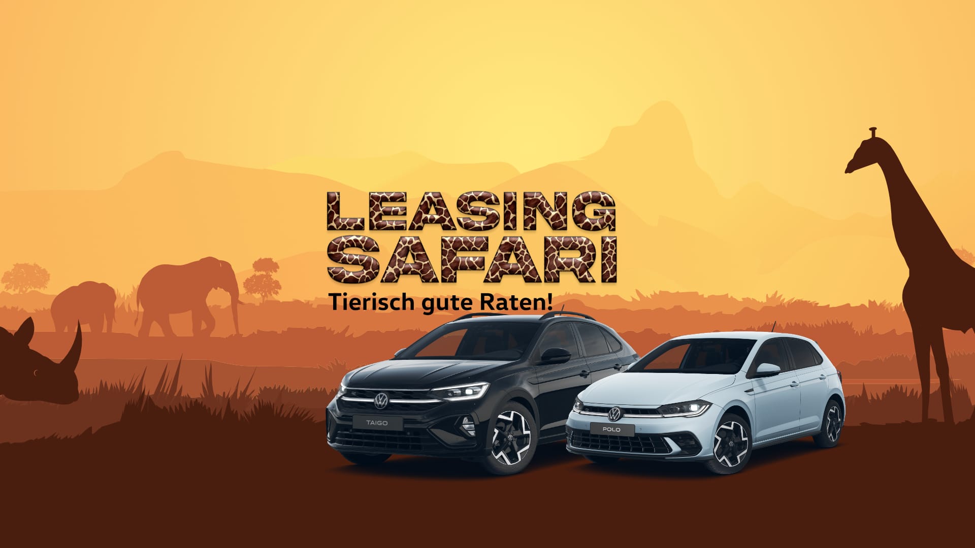 Leasing Safari Slider