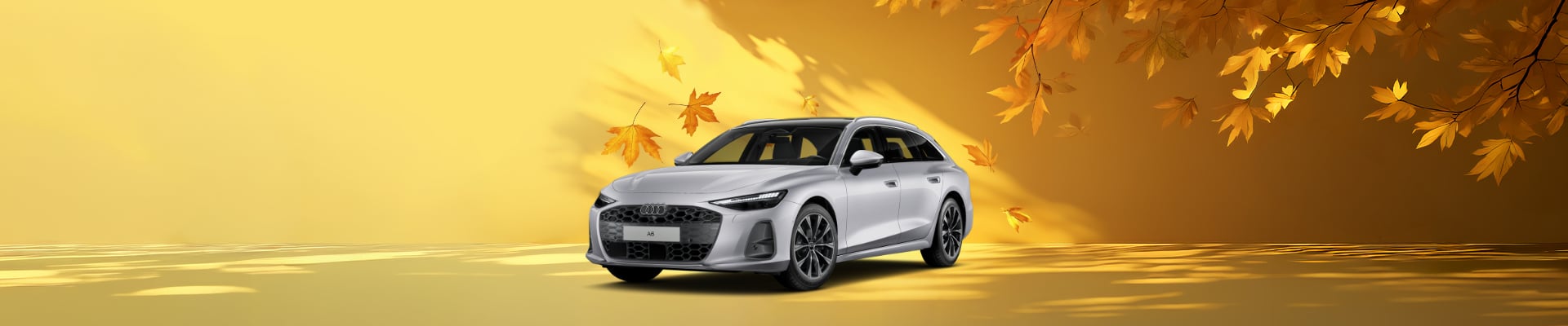 Angebot Audi A6 Avant florettsilber