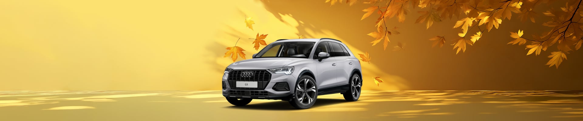 Angebot Q3 florettsilber