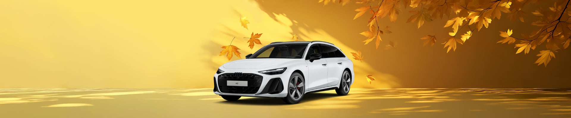 Angebot Audi A6 Avant S line Gletscherweiß