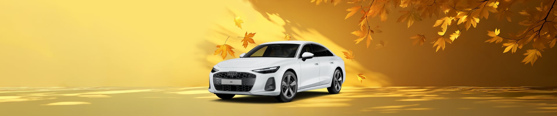 Angebot Audi A6 Limousine gletscherweiß