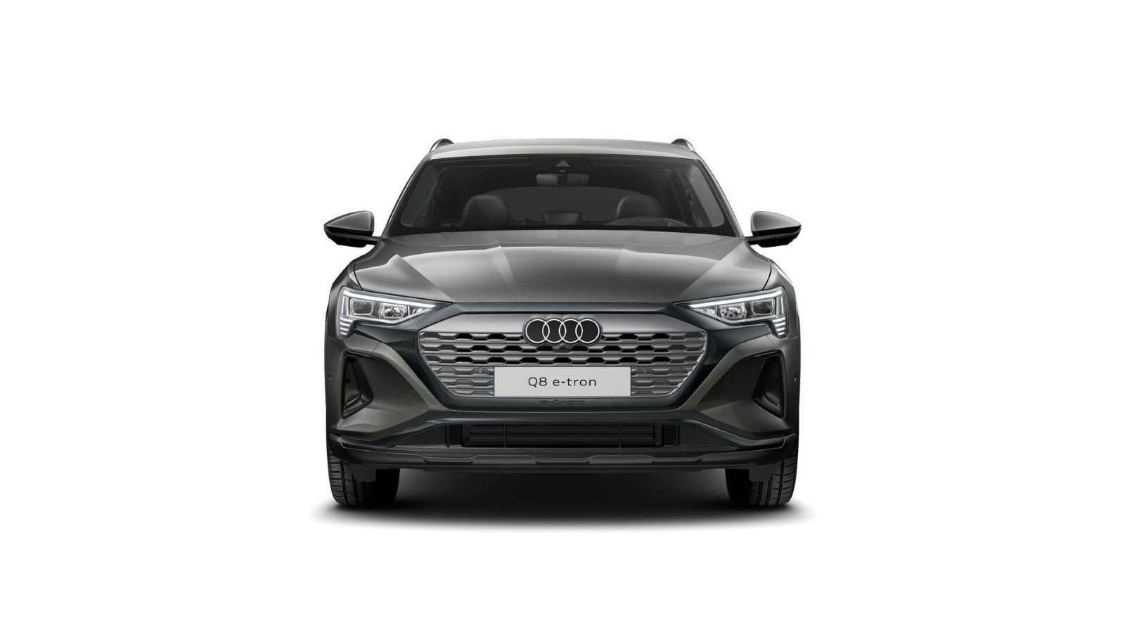 Fahrzeugabbildung Audi Q8 e-tron 55 Advanced+360 KAMER+HEAD UP+STANDKLI