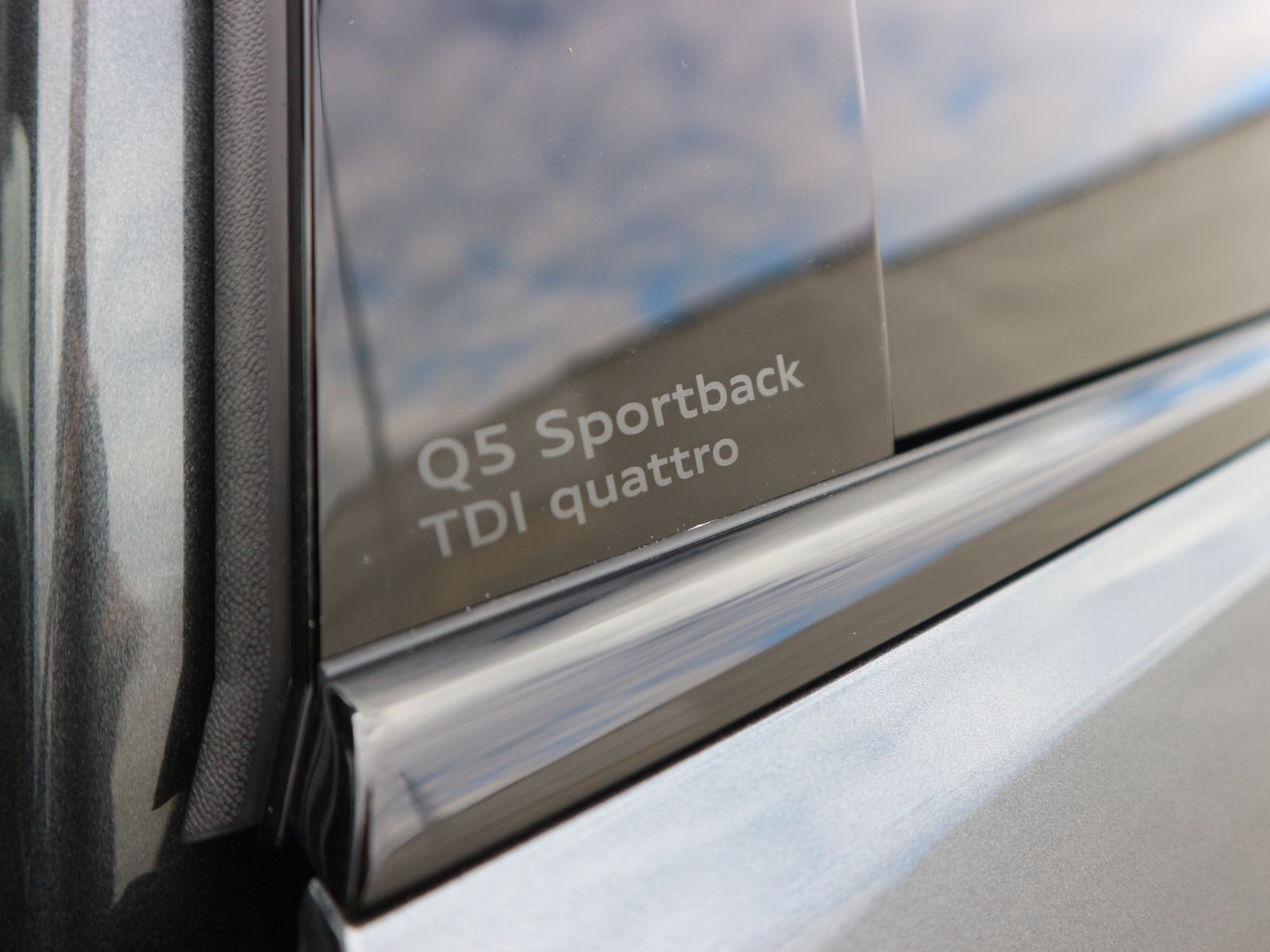 Fahrzeugabbildung Audi Q5 Sportback TDI quattro S line*PANNO*AHK*