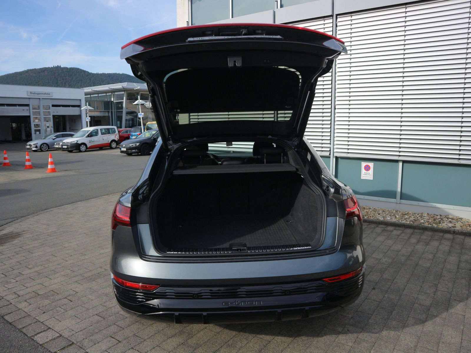 Fahrzeugabbildung Audi Q8 Sportback e-tron S line 55 quattro AHK*360°