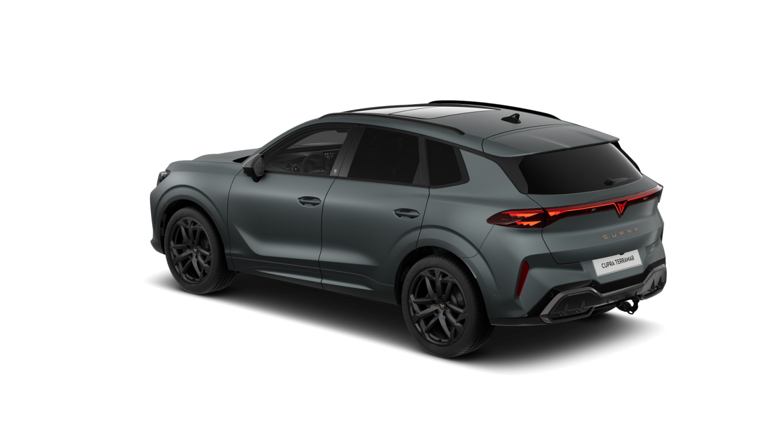 Fahrzeugabbildung CUPRA Terramar America`s CUP 2.0 TSI DSG PANO AHK MATRIX