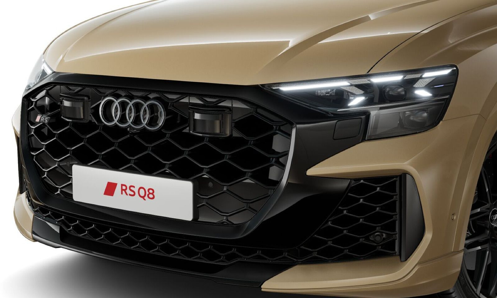 Fahrzeugabbildung Audi RS Q8 +WINTERRÄDER+STANDHEIZUNG+AHK+SPORTABGASAN