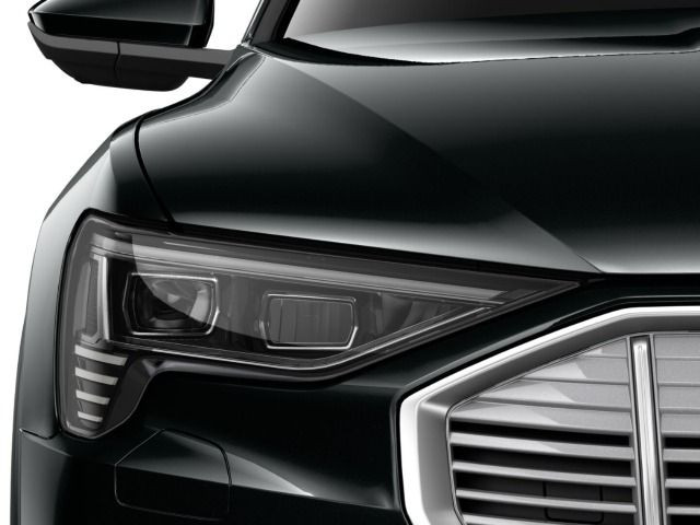 Fahrzeugabbildung Audi e-tron advanced 55 quattro PANO*360°*NACHTSICHT