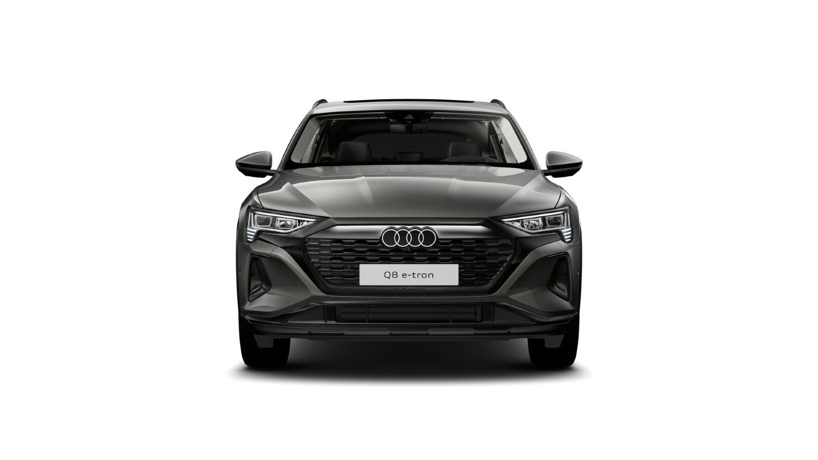 Fahrzeugabbildung Audi Q8 Sportback e-tron 55 QUATTRO ADVANCED+WINTERRÄ