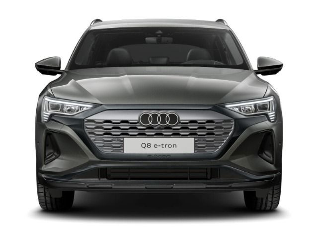 Fahrzeugabbildung Audi Q8 e-tron advanced 55 quattro ACC*360°*HUD