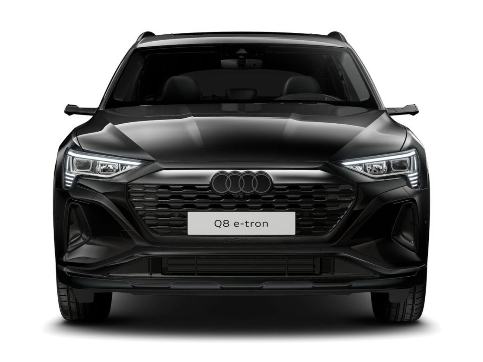 Fahrzeugabbildung Audi Q8 e-tron advanced 55 quattro AHK*PANO*360°*HUD
